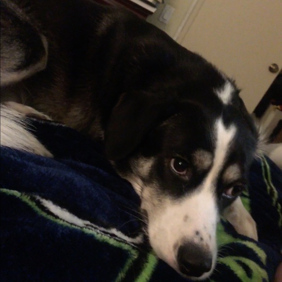 Meet your Posher, Ryan - Picture 1 of 1